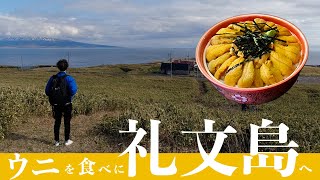 【8泊9日北海道旅行】3日目礼文島 ウニを食べに最北の離島へ