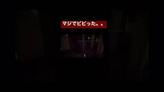 人気のホラゲーは2人プレイしてもやはり怖かった。。