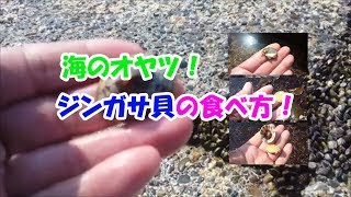 【レシピ】テトラ張り付くアイツは美味しいオヤツ！ジン〇サ☆彡