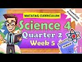 Science 4 Q2 Week 5 MATATAG PowerPoint Presentation #matatagcurriculum #matatag #grade4