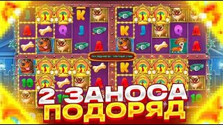 СЛОВИЛ ЗАНОС В СЛОТЕ The Dog House Multihold ??? ВЫБИЛ БОНУСКУ ПО СТАВКЕ 4000Р