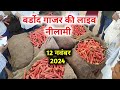 12 नवंबर 2024 गाजर की लाइव रिपोर्ट | बर्डोद गाजर मंडी भाव | गाजर का ताजा भाव | Bardod gajar mandi