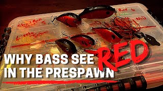 Why Bass See RED in the Prespawn! (Pro Tip to Help YOU Catch MORE and BIGGER BASS!)