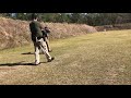 Denny Chapman - North FL 2-gun Match, pistol/rifle stage