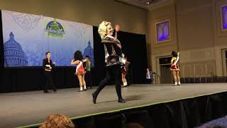 Southern Region Oireachtas 2019 Parade Of Champions