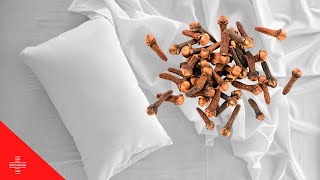 Chewing 2 Cloves Before Sleep Has Surprising Advantages
