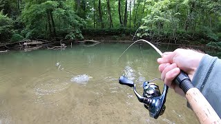 TROUT Fishing with Spinners (Brown, Brook, Rainbow)