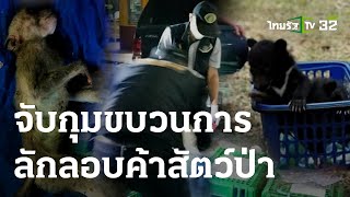 จับผู้ต้องหาลักลอบจับลูกหมีควาย 2 ตัว | 08-03-66 | ข่าวเที่ยงไทยรัฐ