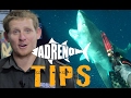 Spearfishing with Sharks (Tigers, White Pointers, Bullsharks)  | ADRENO