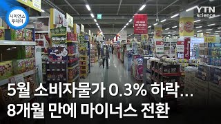 5월 소비자물가 0.3% 하락...8개월 만에 마이너스 전환 / YTN 사이언스