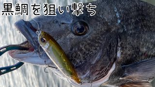 ピンポイントで黒鯛を狙っていくトップの釣り【チニング】