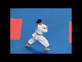 kata koshokun dai by sakura kokumai usa