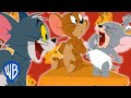 Tom et Jerry en Français | c'est délicieux! | WB Kids