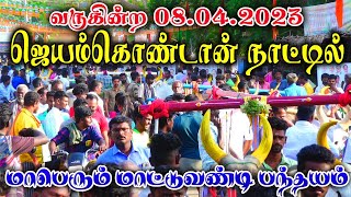 வருகின்ற 08.04.2023 ஜெயம்கொண்டான் பந்தயம்#amutham_panthyam #amutham_studio