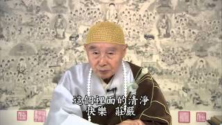 2012淨土大經科註523-淨空法師共578集)高清字幕