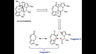 Total Synthesis of (-)-Curvulamine, a Bispyrrole Alkaloid with Antibacterial Properties