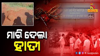 ହାତୀ ଆକ୍ରମଣରେ ଯୁବକ ମୃତ |  NandighoshaTV