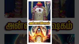 மதுரை சிவன் கோவில் அன்னாபிஷேகம் #sivan #shorts #templetamil