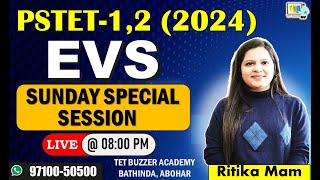 EVS For PSTET 2024 | EVS Special Session | PSTET EVS Most Expected Questions | PSTET Paper 1 EVS