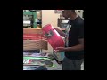 Behind the scenes look of how a foil  skate deck graphic is made-by Rod James