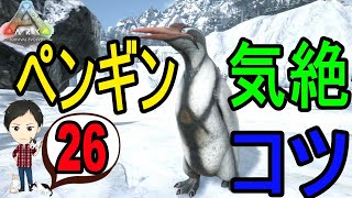 【ARK PS4版】#26 カイルクペンギンを気絶＆テイムするコツ！