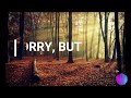 Alan Walker, Sabrina Carpenter & Farruko - On My Way (Lyrics) - Subtitulada Ingles y Español