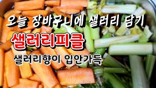 샐러리피클 뚝딱 상큼한입맛