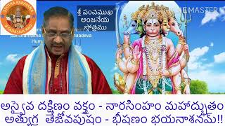 Panchamuka Anjaneya Stotram - శ్రీ పంచముఖ ఆంజనేయ స్తోత్రము- విశేష కార్య సిద్ధికి