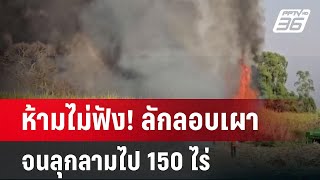 ห้ามไม่ฟัง! ลักลอบเผาจนลุกลามไป 150 ไร่ | เข้มข่าวค่ำ | 26 ม.ค. 68