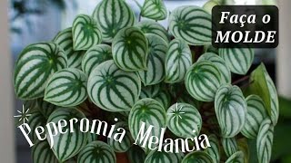 Como fazer molde da peperomia melancia