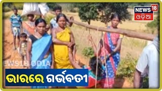 Koraputରେ ପୁଣି ଭାରରେ ବୁହା ହେଲେ ଗର୍ଭବତୀ