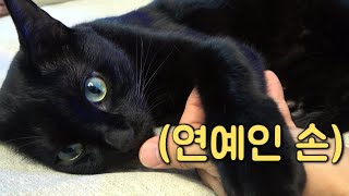 [다홍이 VLOG] 수홍다홍이네 연예인둘2 방문