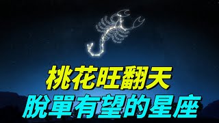 2023年9月，桃花旺翻天！脫單有望的星座Top5，你上榜了嗎？【禪聲】#佛学#风水#星座#运势#桃花运#情感#9月#2023年#脱单