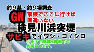 GW渋滞回避！検見川浜突堤釣果＆釣り場状況　子供も出来るサビキ釣りでイワシ・コノシロ。　おまけ：勝浦松部港の釣果報告