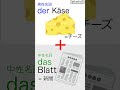 ドイツ🇩🇪語で「チーズ新聞」とは？🧀📰 shorts ドイツ語 ショート動画