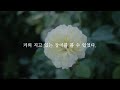 vlog. 추석에 즐겼던 전주 군산 카페 로디드아파트먼트카페 팔복동예술마을 바람약과 진안편백숲 다뭇카페