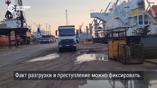 Как Россия вывозит украинское зерно из оккупированных городов