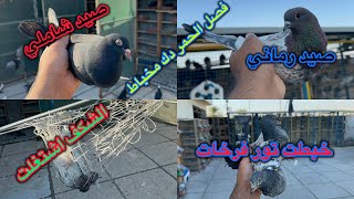 صيد شاملي😱الشكف اشتغلت الرمانيه😁خبطت تور مصبغه احمر❤️❤️❤️❤️