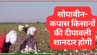 Soyabin I Cotton I सोयाबीन-कपास किसानों की दीवाली होगी शानदार। MahaElex2024 I Mahayuti I MSP I