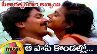 Seetharatnam Gari Abbayi Telugu Movie Songs | Aa Paapi Kondallo Full Video Song | Roja | Vinod Kumar