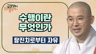 탐진치로부터 자유로워지는 것이 수행이다-원빈스님의 금강경에 물들다 55회