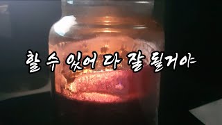 할 수 있어 다 잘 될거야 #대한민국 #수험생 들에게 쓰는 편지 [KICPA 미스터 박]