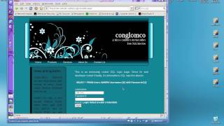 Basic SQL Injection (SQLi) Demonstration