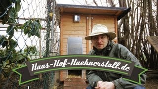 Laufenten vom Fuchs gefressen