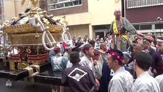 令和元年 鳥越神社例大祭『御本社千貫神輿渡御・柳二町会』