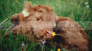 Buliukai. Hailendai. Bačkonių ekologinis ūkis