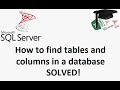 MS SQL tutorial on searching for tables or columns in a database