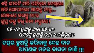 ମହା ଶକ୍ତିଶାଳୀ କାମ ଇନ୍ଦ୍ରିୟ ବଶିକରଣ ତନ୍ତ୍ର || Basikarana by Creatures