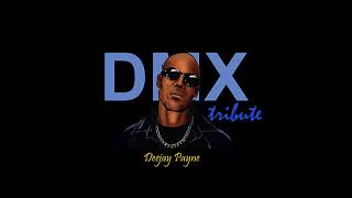 DMX Tribute Mix Deejay Payne