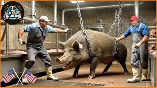 The Shocking Reality Of The World's Largest Wild Boar Processing Factory | Farming Documentary